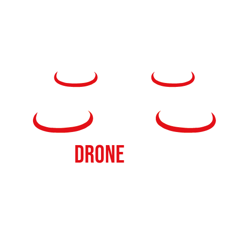 DRONEGUARD Logo